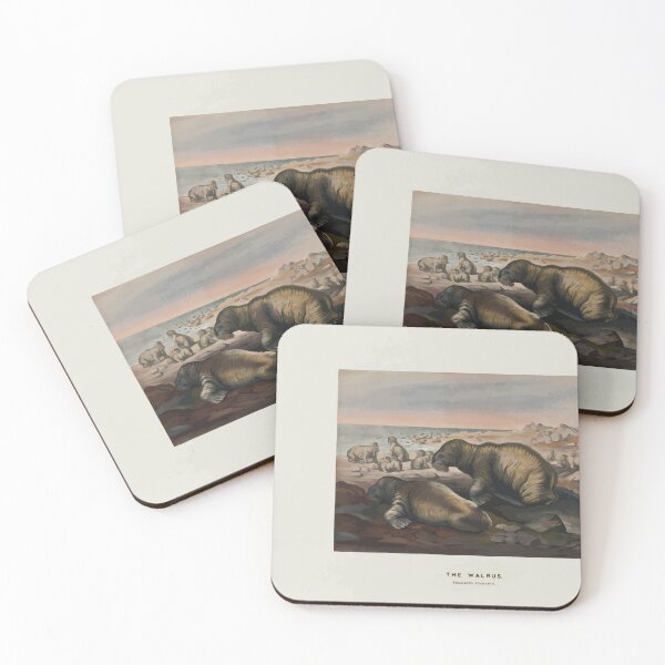 Item preview, Zoological sketches by Joseph Wolf 1861 to 1867 018 The Walrus designed and sold by WetdryvacRB01.