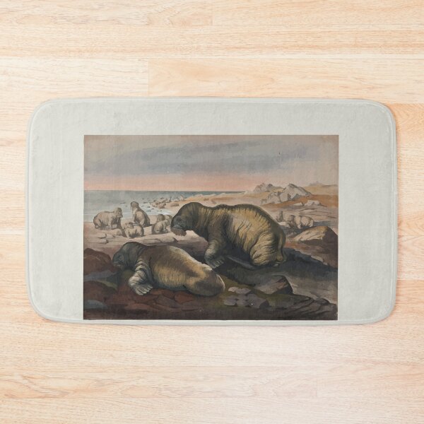 Item preview, Zoological sketches by Joseph Wolf 1861 to 1867 018 The Walrus designed and sold by WetdryvacRB01.
