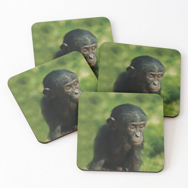 Item preview, Baby Bonobo designed and sold by rawshutterbug.