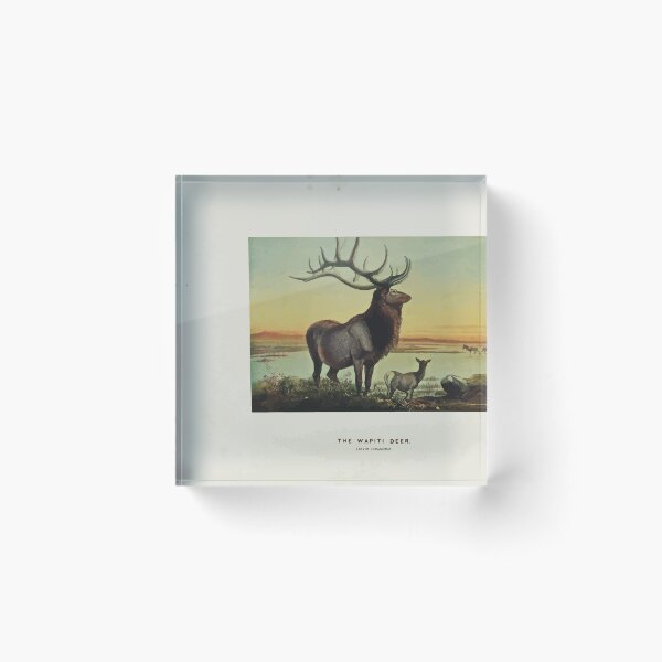 Item preview, Zoological sketches by Joseph Wolf 1861 to 1867 019 The Wapiti Deer designed and sold by WetdryvacRB01.
