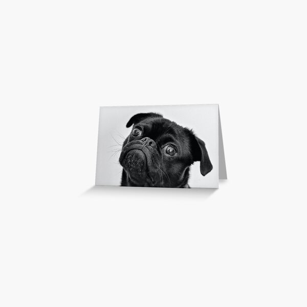 Tarjetas De Felicitacion Pug Negro Redbubble