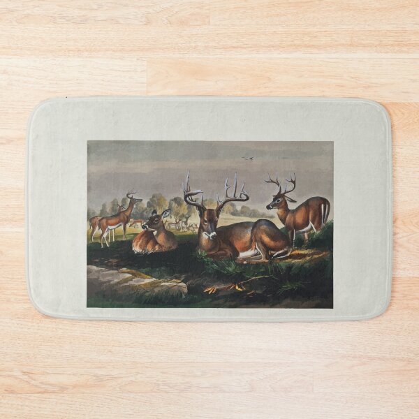 Item preview, Zoological sketches by Joseph Wolf 1861 to 1867 020 The White Tailed Deer designed and sold by WetdryvacRB01.
