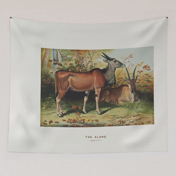 Item preview, Zoological sketches by Joseph Wolf 1861 to 1867 021 The Eland designed and sold by WetdryvacRB01.