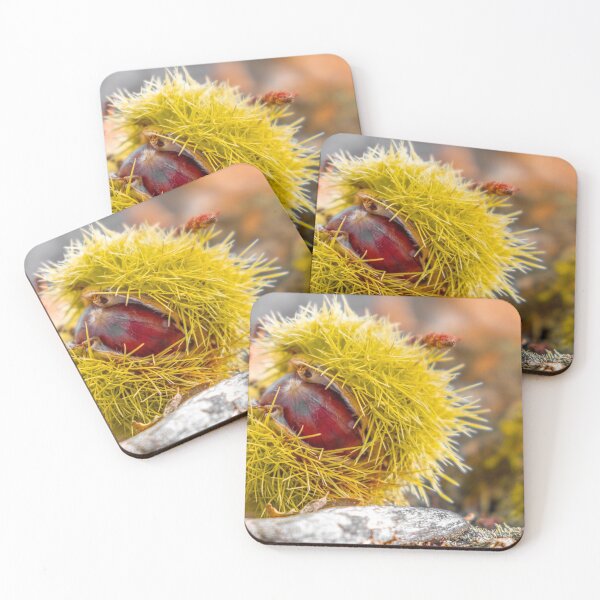 Item preview, chestnuts shell close up horizontal background - harvesting chestnut in forest with autumn foliage ground . designed and sold by fineartitalia.