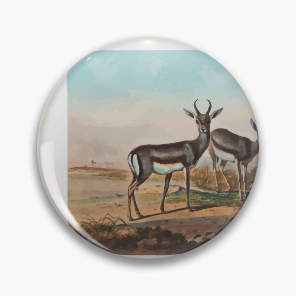Item preview, Zoological sketches by Joseph Wolf 1861 to 1867 022 The Persian Gazelle designed and sold by WetdryvacRB01.