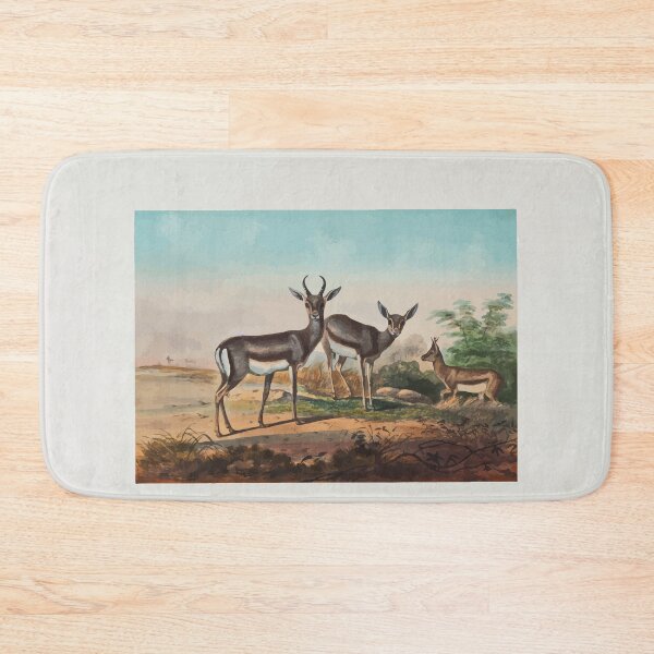 Item preview, Zoological sketches by Joseph Wolf 1861 to 1867 022 The Persian Gazelle designed and sold by WetdryvacRB01.