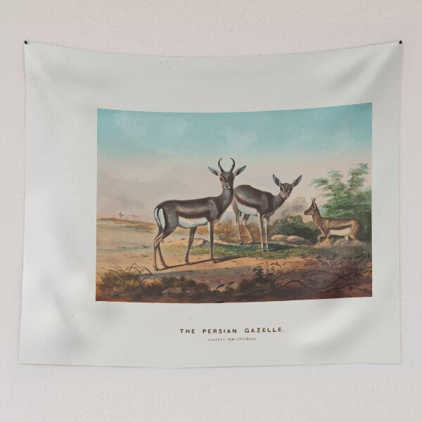 Item preview, Zoological sketches by Joseph Wolf 1861 to 1867 022 The Persian Gazelle designed and sold by WetdryvacRB01.