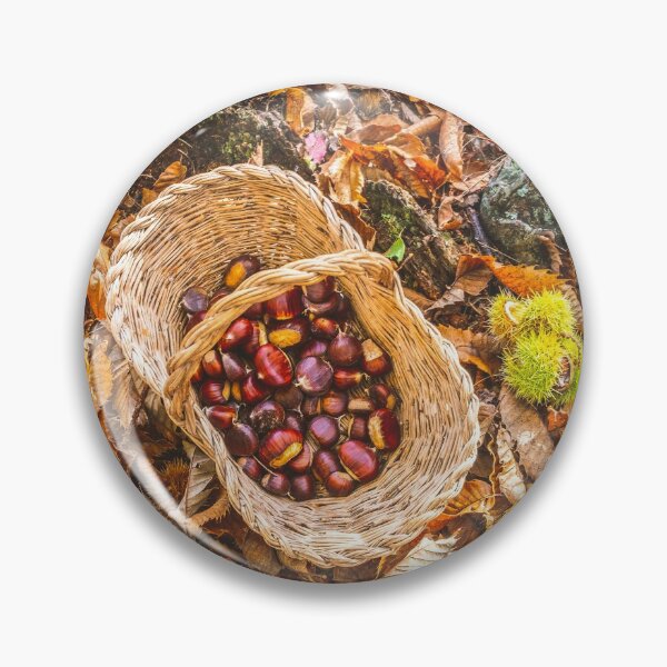 Item preview, chestnuts background top view - harvesting chestnut in forest with basket in autumn foliage ground designed and sold by fineartitalia.