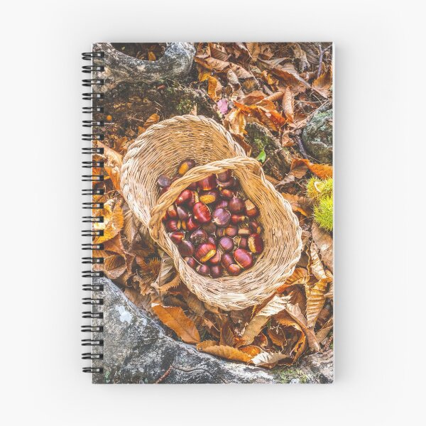 Item preview, chestnuts background top view - harvesting chestnut in forest with basket in autumn foliage ground designed and sold by fineartitalia.