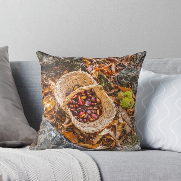 Item preview, chestnuts background top view - harvesting chestnut in forest with basket in autumn foliage ground designed and sold by fineartitalia.