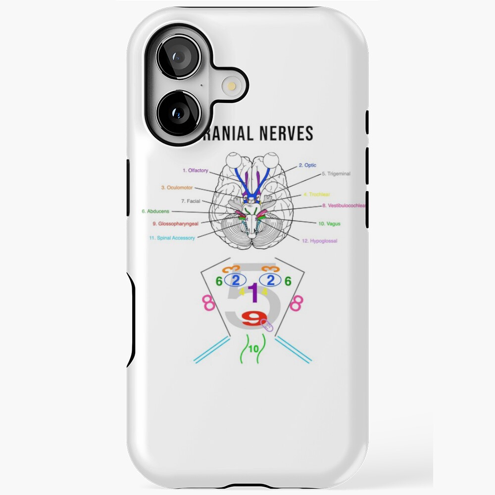 Cranial Nerves Diagrams Poster