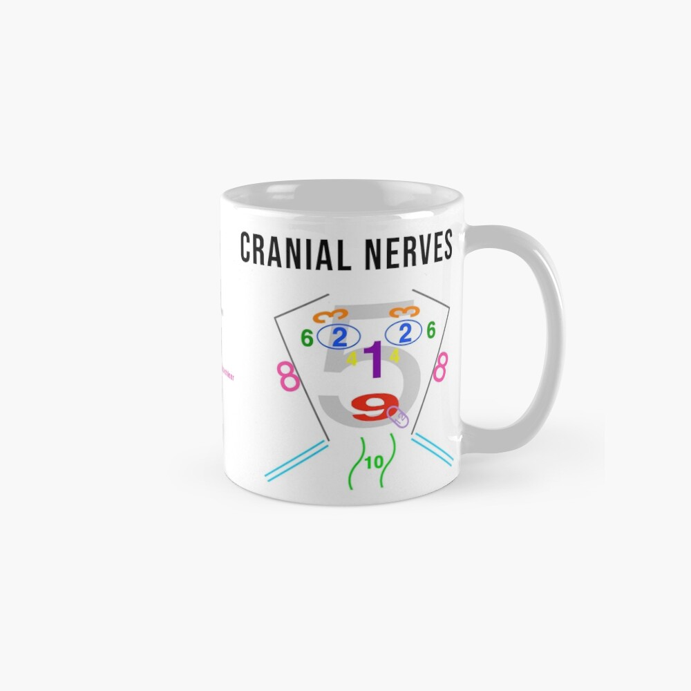 Cranial Nerves Diagrams Poster