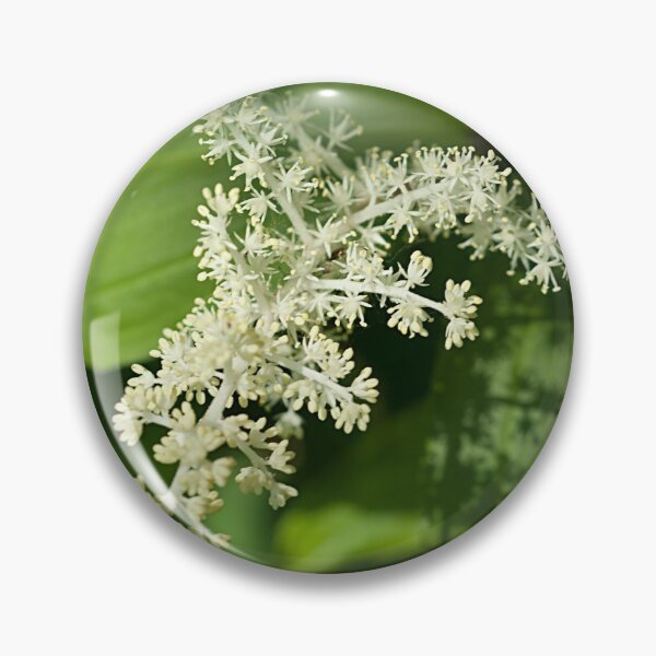 Artikelvorschau, False Solomon's Seal entworfen und verkauft von srwdesign.