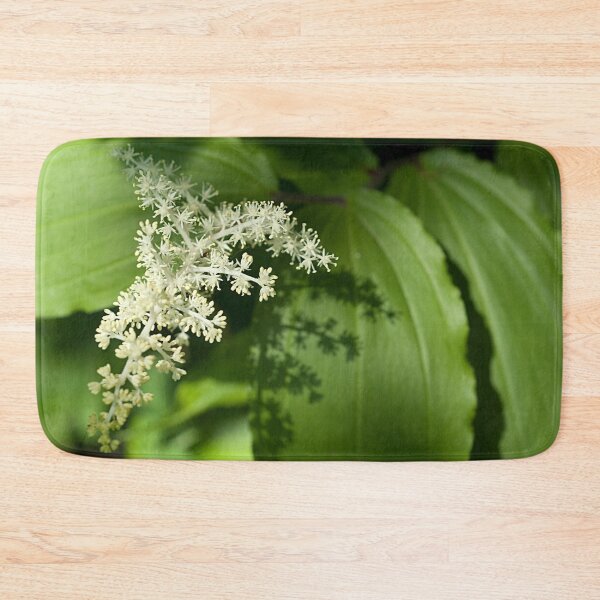Artikelvorschau, False Solomon's Seal entworfen und verkauft von srwdesign.