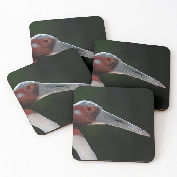 Item preview, Manchurian crane designed and sold by pietrofoto.