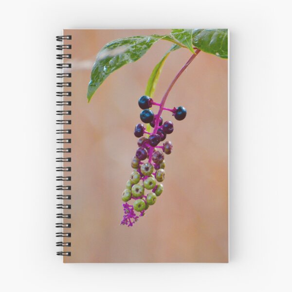 Item preview, Autumn Berries designed and sold by lisapicklepizza.
