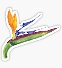 Bird of Paradise-2 Sticker