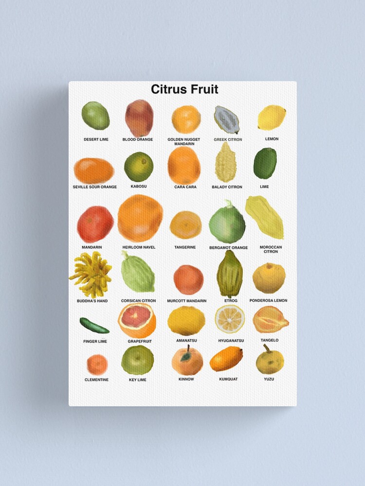 Citrus fruits: a Patterned Spirograph Collage Art Board Print for