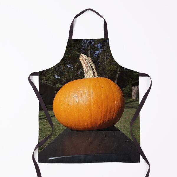 Item preview, Pumpkin on a Mailbox designed and sold by Dodie the Llama Designs.