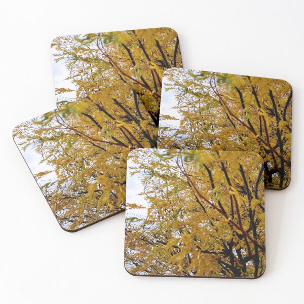 Item preview, Yellow Leaves Fall trees art, Autumn Vibes, Season changing colors  designed and sold by milkasweet.