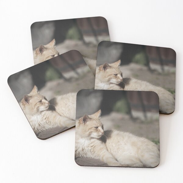 Item preview, Domestic cat animal portrait designed and sold by Claraveritas.