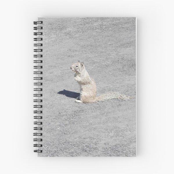 Item preview, Ground squirrel, Silverwood Lake, San Bernardino Mountains, California. designed and sold by Sandra O'Toole.