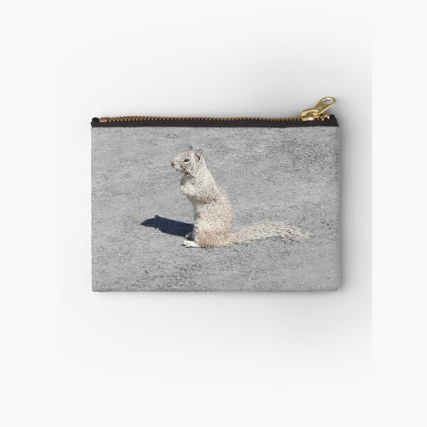 Item preview, Ground squirrel, Silverwood Lake, San Bernardino Mountains, California. designed and sold by Sandra O'Toole.
