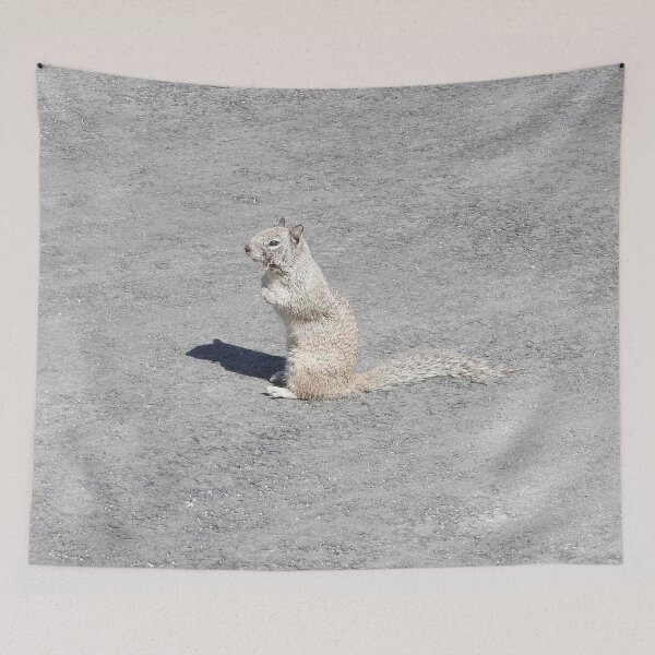 Item preview, Ground squirrel, Silverwood Lake, San Bernardino Mountains, California. designed and sold by Sandra O'Toole.