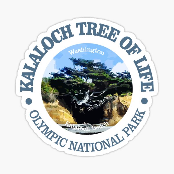 Item preview, Kalaloch Tree of Life (W) designed and sold by curranmorgan.