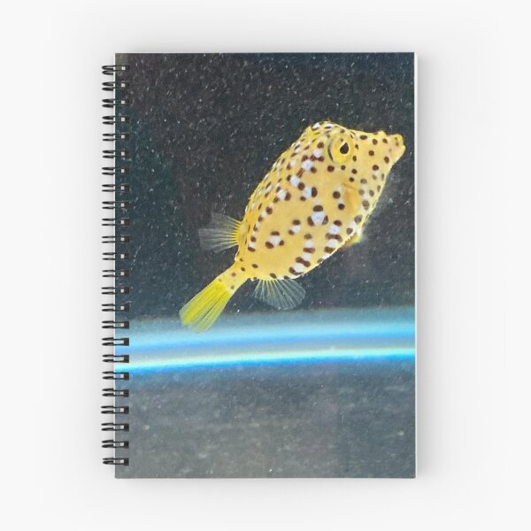 Item preview, Spotted Boxfish 1 designed and sold by Taranodongirl7.