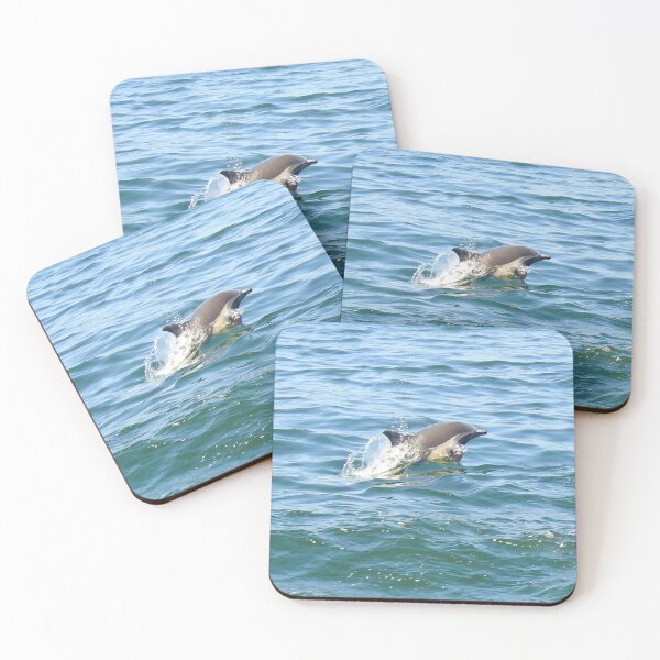 Item preview, Marine Life, Striped Dolphin, Pacific Ocean, California designed and sold by Sandra O'Toole.