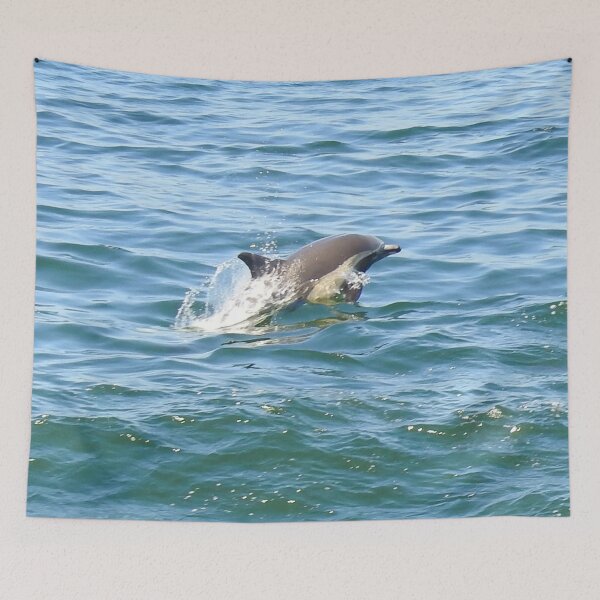 Item preview, Marine Life, Striped Dolphin, Pacific Ocean, California designed and sold by Sandra O'Toole.