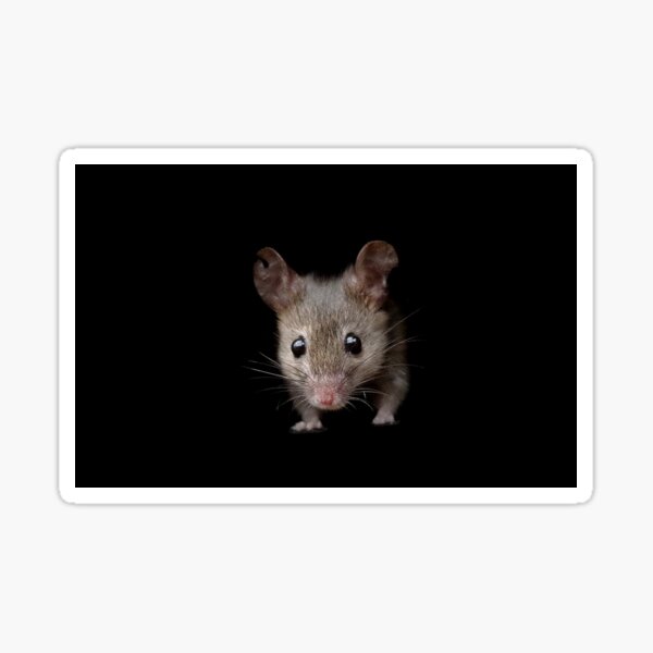 Mouse Sticker