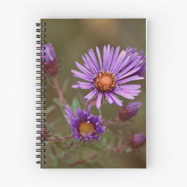 Item preview, Purple Aster designed and sold by lisapicklepizza.