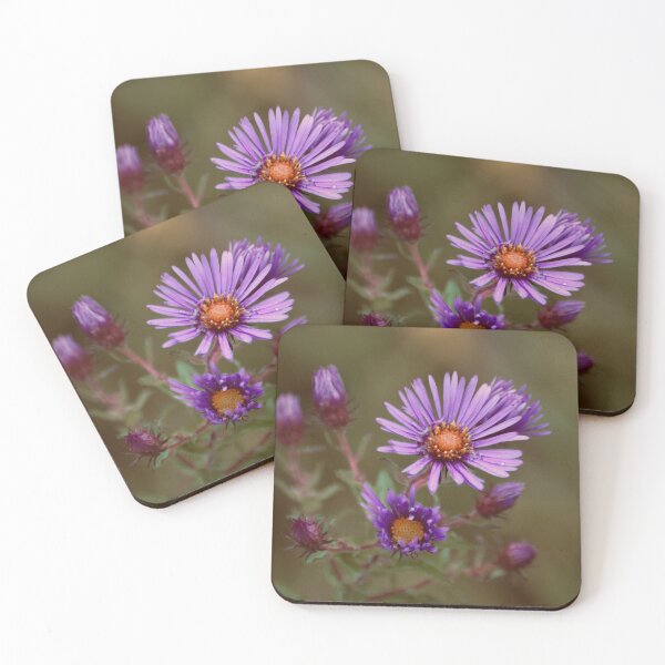 Item preview, Purple Aster designed and sold by lisapicklepizza.