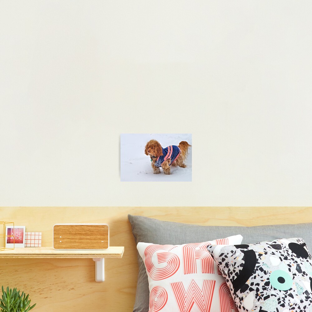 Item preview, Photographic Print designed and sold by puffkitty3.