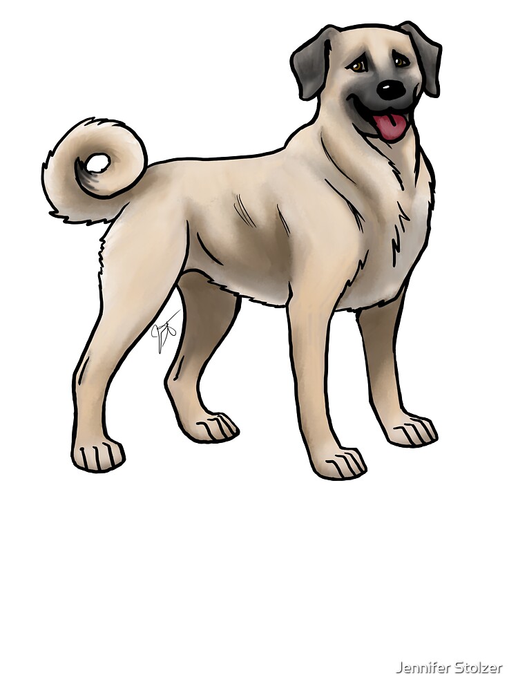 Baby 2024 kangal dog