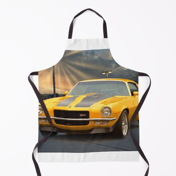 Item preview, 1973 Chevrolet Camaro Z28 designed and sold by DaveKoontz.