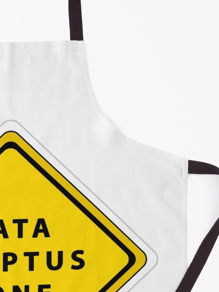 Alternate view of Data Adeptus zone Apron