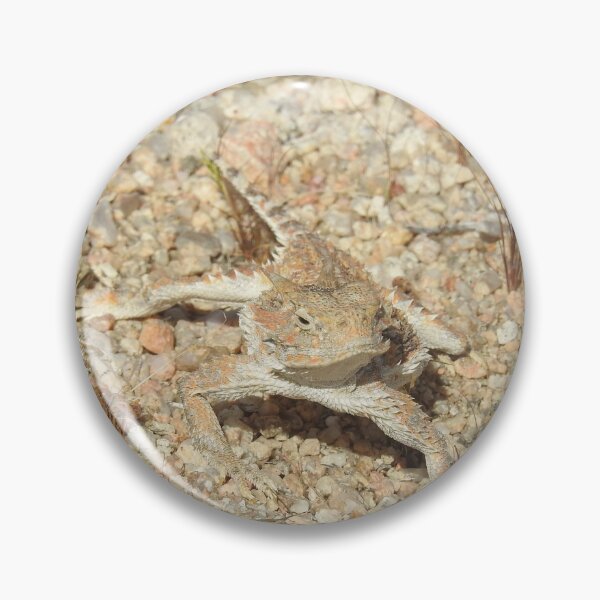 Item preview, Horned lizard, horny toad, Naturally Disguised designed and sold by Sandra O'Toole.