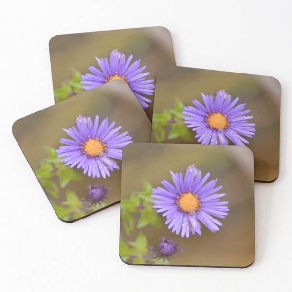 Item preview, Aster in the rain designed and sold by lisapicklepizza.