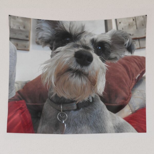Item preview, cute christmas Schnauzer designed and sold by Stephanie  Skeem.