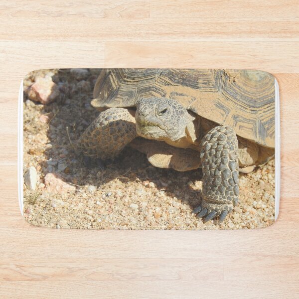 Item preview, Desert tortoise, wildlife, reptiles, Desert Charmer designed and sold by Sandra O'Toole.