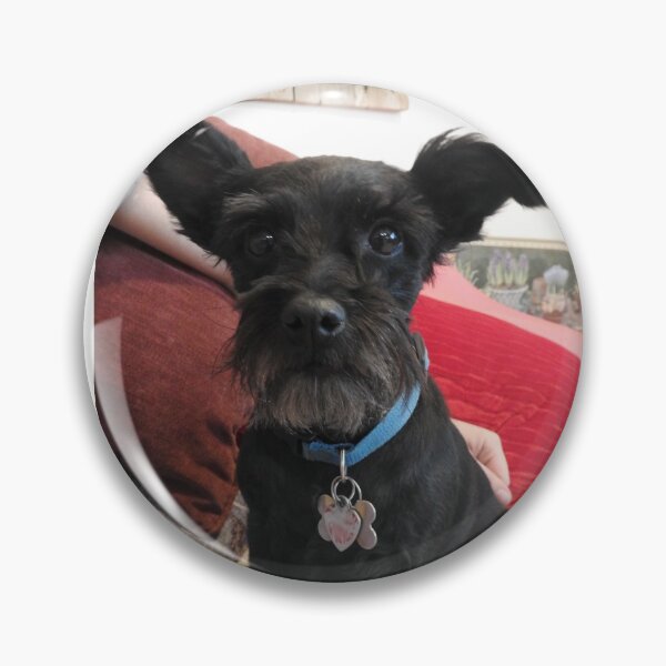 Item preview, Schnauzer negro designed and sold by Stephanie Skeem.