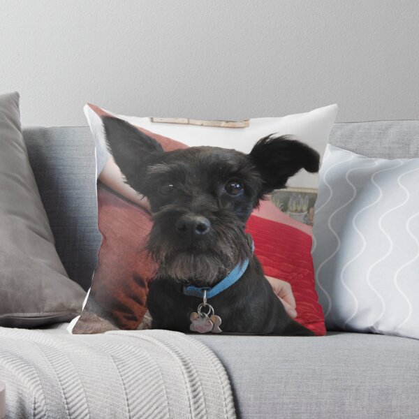 Miniature schnauzer pillow sale