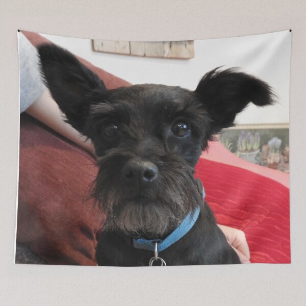 Item preview, black Schnauzer designed and sold by Stephanie  Skeem.