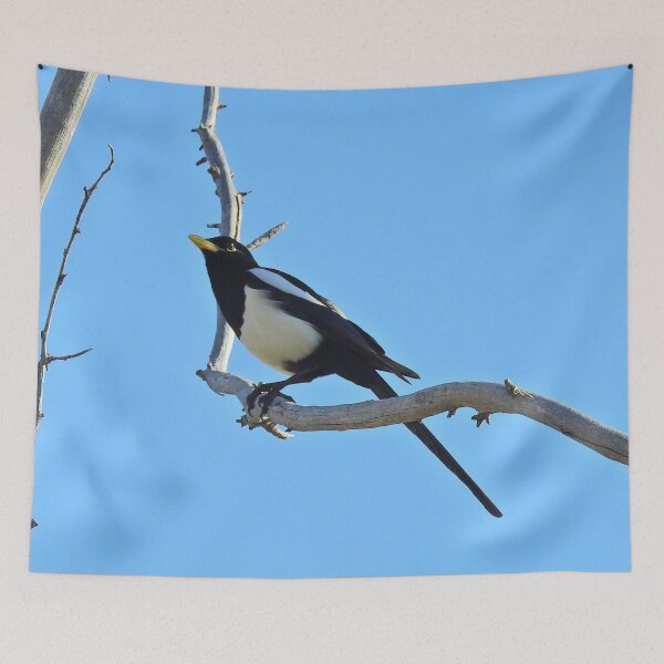 Item preview, Wild birds, magpie, wildlife, A California Gem designed and sold by Sandra O'Toole.