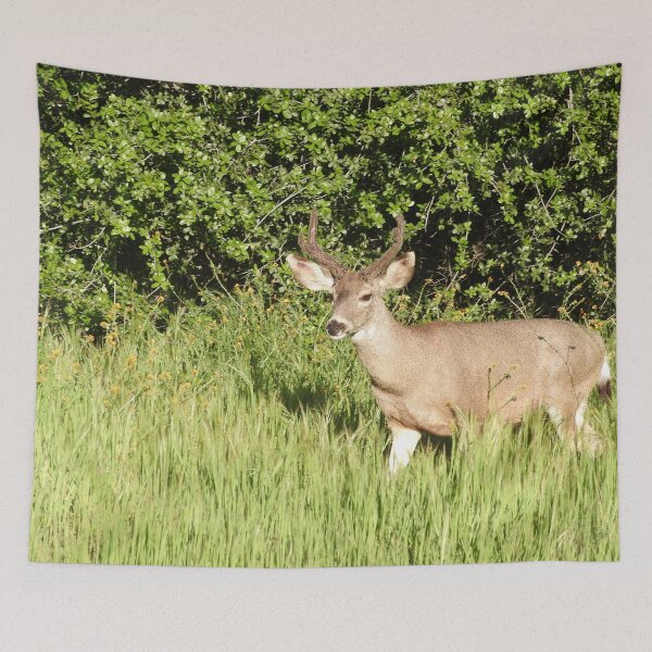 Item preview, Mule deer, wildlife, Woodland King designed and sold by Sandra O'Toole.