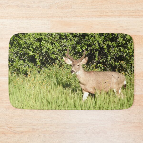 Item preview, Mule deer, wildlife, Woodland King designed and sold by Sandra O'Toole.