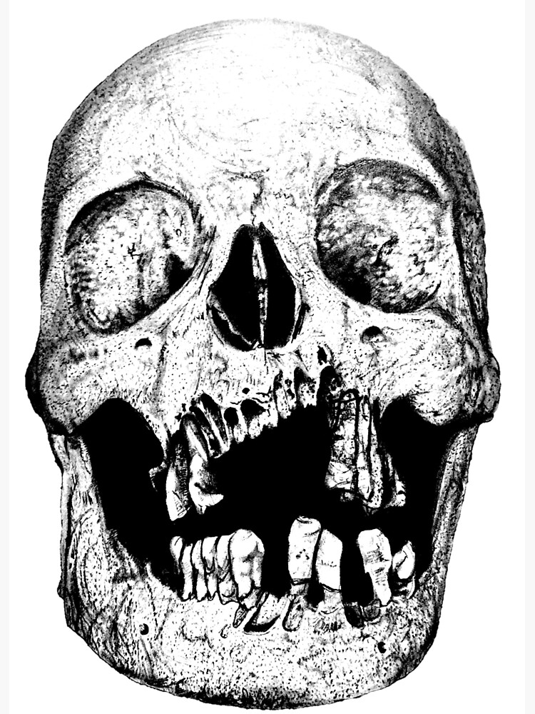 MONSTER MOUTH SKULL / BLOCK-XS01-